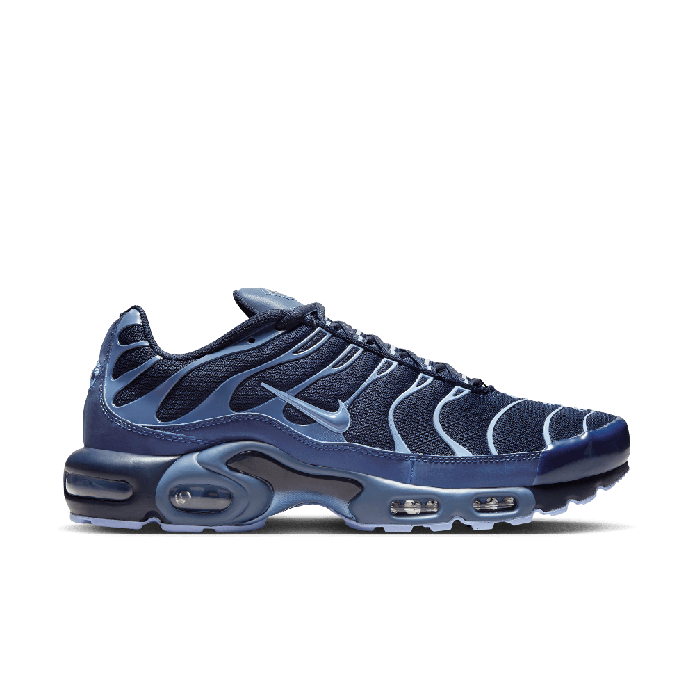 Nike Air Max Plus Obsidian Aluminum