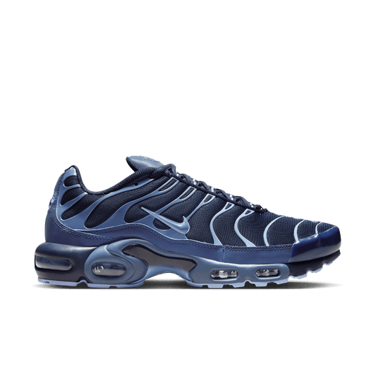 Nike Air Max Plus Obsidian Aluminum
